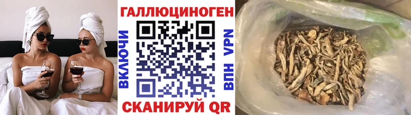 дарнет шоп  Урус-Мартан  Галлюциногенные грибы Psilocybine cubensis 