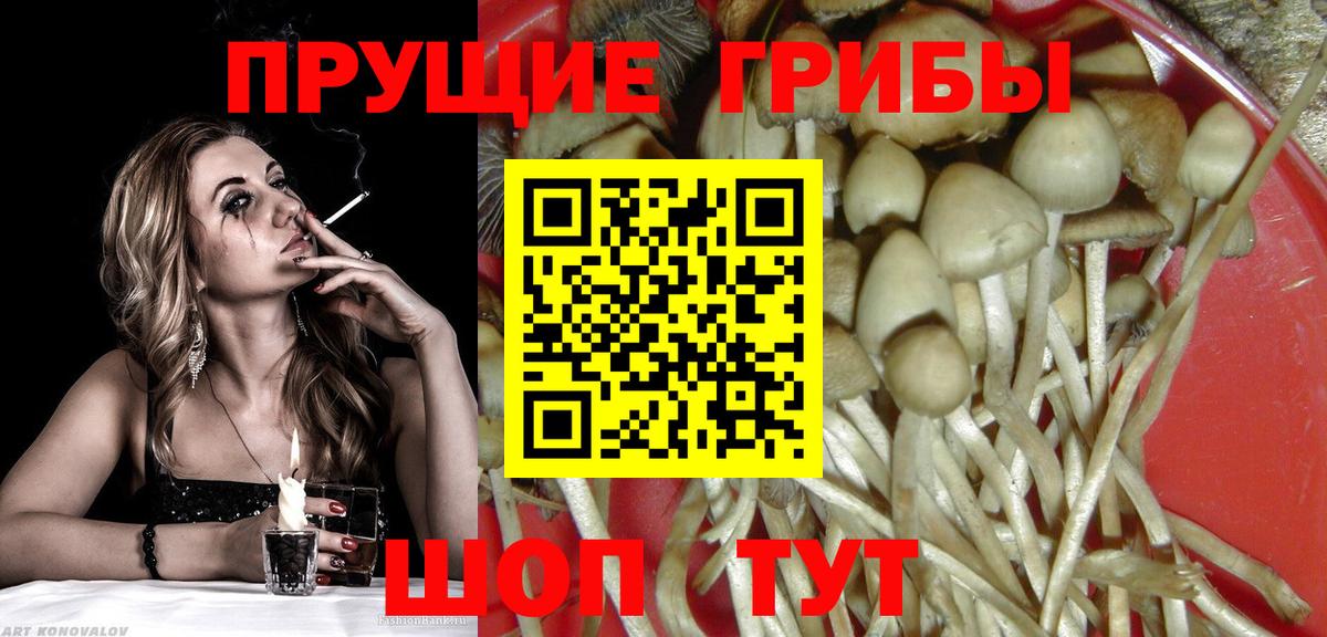 Псилоцибиновые грибы мицелий  Вход с VPN  Псилоцибиновые грибы Magic Shrooms  Урус-Мартан 