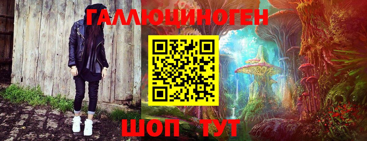 Псилоцибиновые грибы Psilocybine cubensis Урус-Мартан