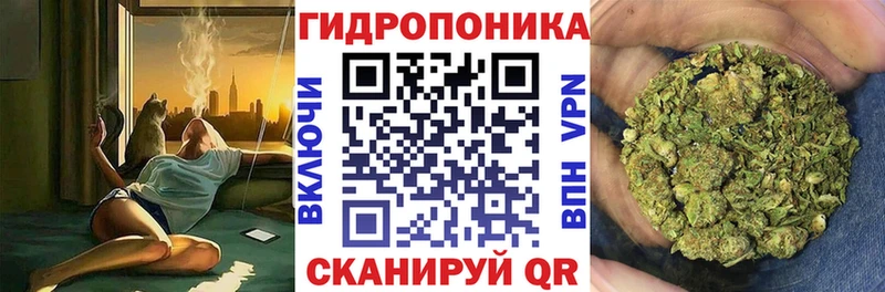 Конопля марихуана  Урус-Мартан 